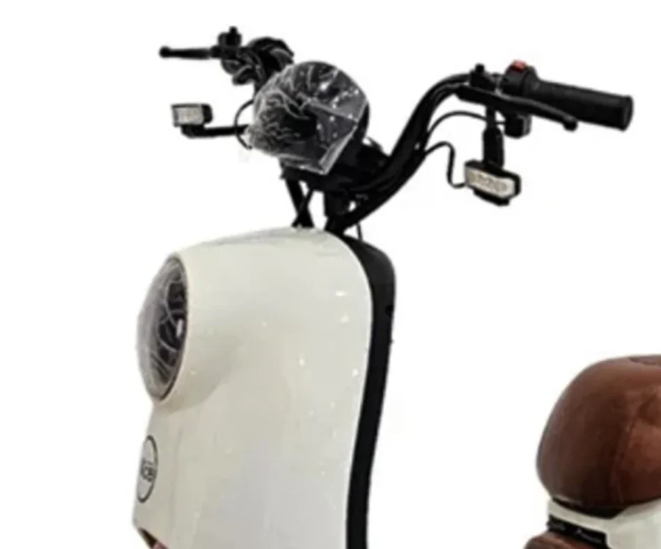 Fashionable Mobility Electric Scooter Electric Trike For Adults 48V 20Ah 500W - Image 3