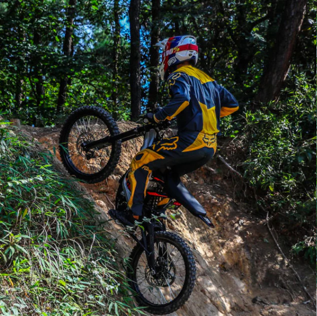SURRON LIGHT BEE X Electric Dirt Bike 60v 100km Range 75km/h Speed Off Road Dirt Bike - Image 29