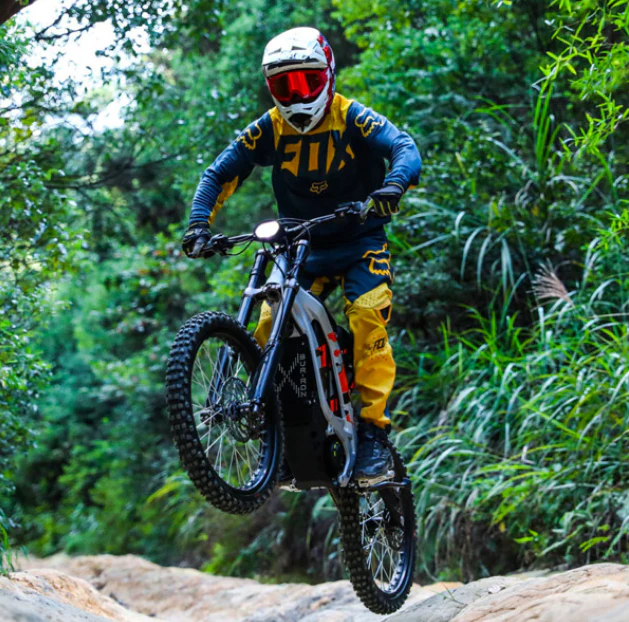 SURRON LIGHT BEE X Electric Dirt Bike 60v 100km Range 75km/h Speed Off Road Dirt Bike - Image 5