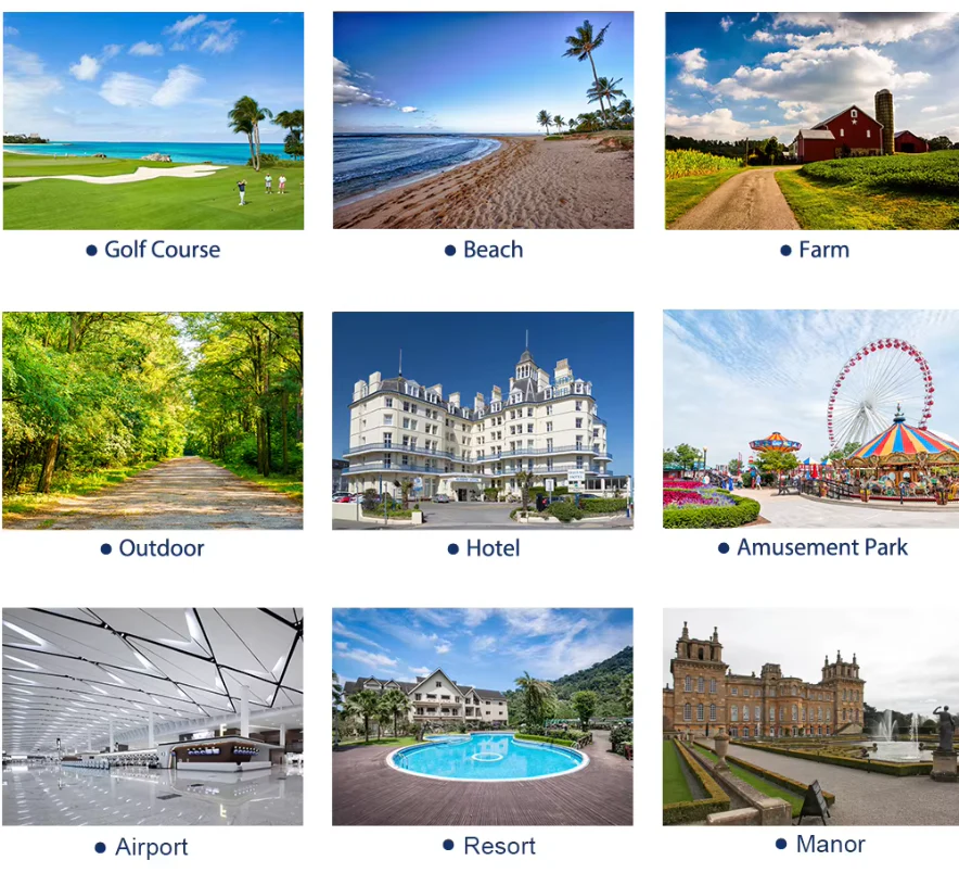 Off Road Golf Cart 4+2 Seat - Image 3